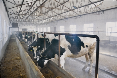 黑龍江齊齊哈爾富?？h光明乳業(yè) 一拖三加一 恒壓供水設(shè)備